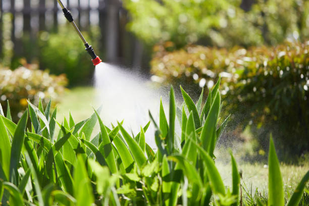 Tamper-Resistant Bait Stations for Rodents in Park Forest Village