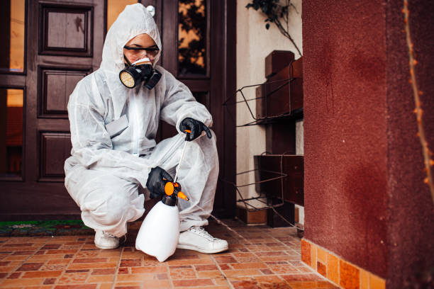 Attic and Crawl Space Rodent Treatment in Park Forest Village