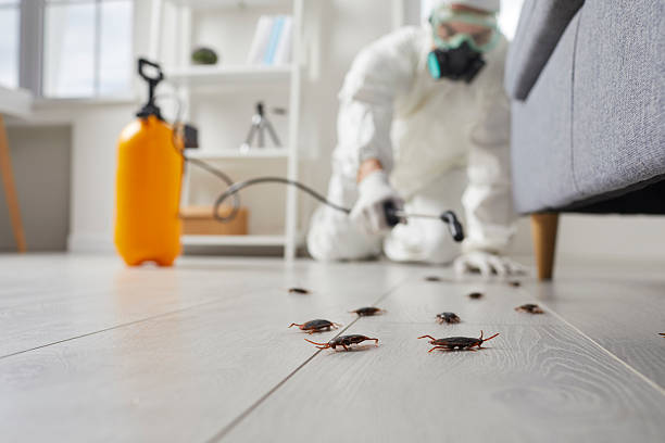 Commercial Rodent Management in Park Forest Village